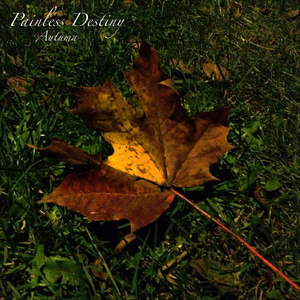 丰满少妇激情自慰露白浆
