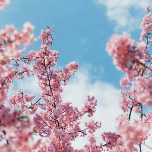 丰满少妇激情自慰露白浆
