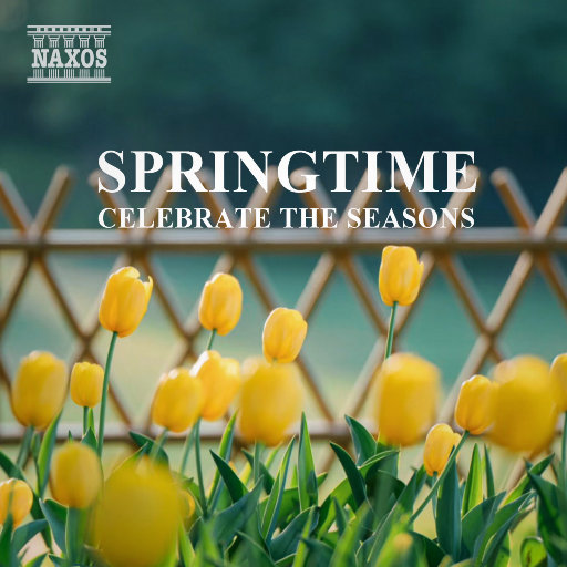 丰满少妇激情自慰露白浆
